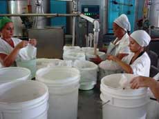 Reconocen a trabajadores de la Industria Alimentaria en Camagüey 