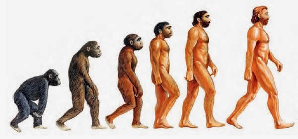 Investigador desmiente causa principal de la aparición del Homo sapiens