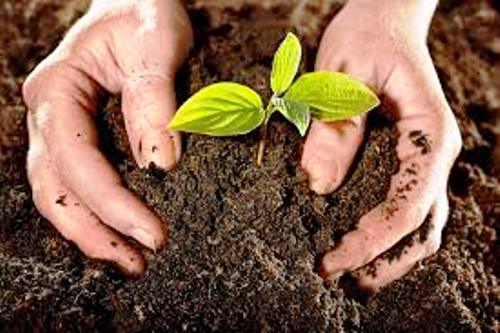 Técnicas agroecológicas se aplican en Camagüey en favor de la preservación y cuidado del medio ambiente.