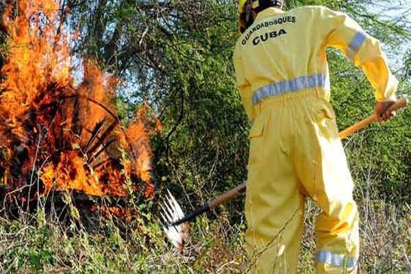En 10 años ocurrieron en Cuba más de tres mil 900 incendios forestales