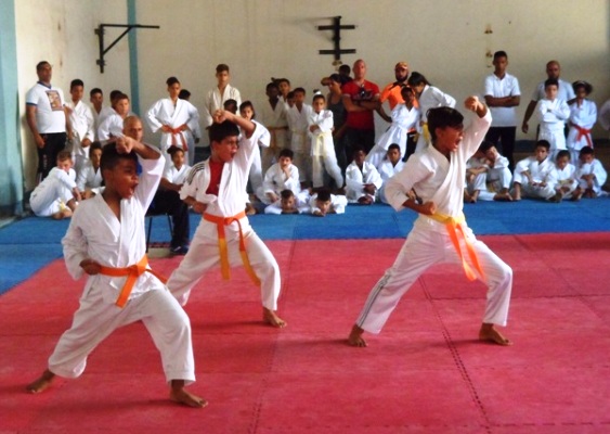 Preparan en Camagüey Gala de las Artes Marciales