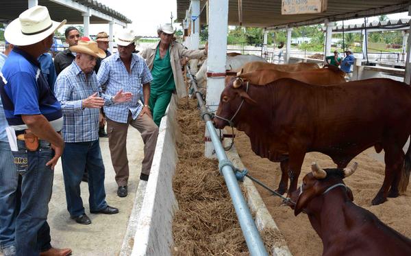 Llama Machado Ventura a potenciar la producción de alimentos desde la rama agropecuaria