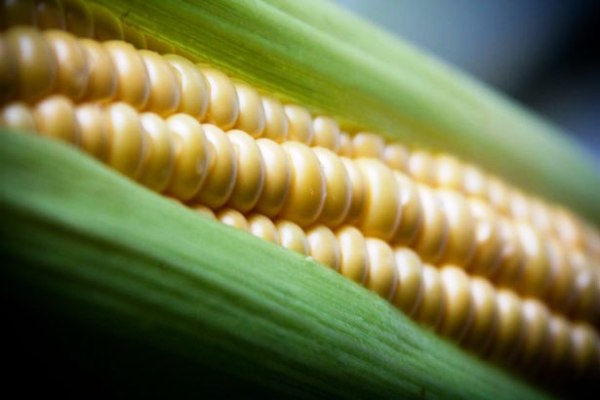 Cuba and UN work on several projects to palliate effects of drought