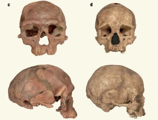 Hallan en Marruecos restos más antiguos del Homo sapiens