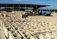 En Camagüey por incrementar producción de materiales de la construcción 