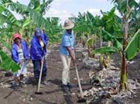 Celebran en oriental provincia de Guántanamo acto central por Día del Campesino cubano