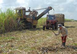 Vertientes será sede en Camagüey por el Día del Campesino