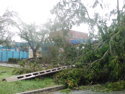Nuevitas con varias afectaciones tras paso de Irma (+ Audio)