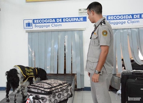  Camagüey garantiza calidad de la técnica canina en protección de fronteras