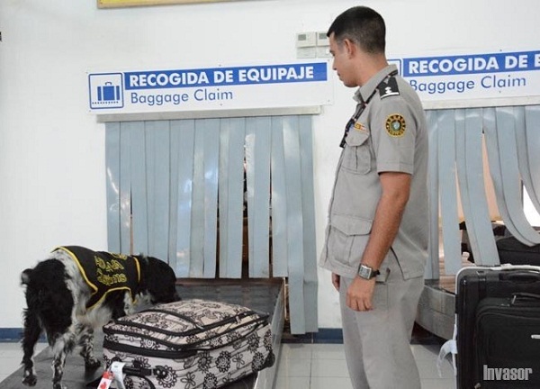 Camagüey garantiza calidad de la técnica canina en protección de fronteras