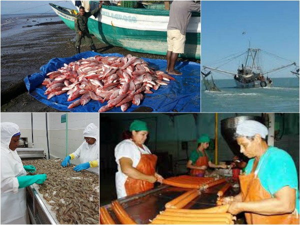 Industria Alimentaria y de la Pesca en Camagüey por nuevos surtidos y mayor calidad