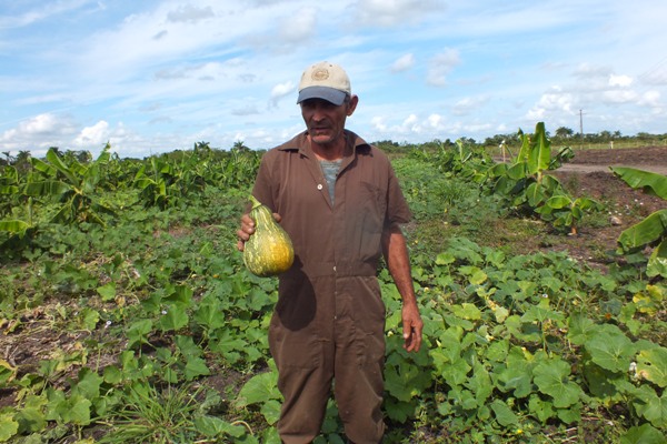 Convocan en Camagüey a continuar labores de revitalización en polos productivos (+Fotos)     
