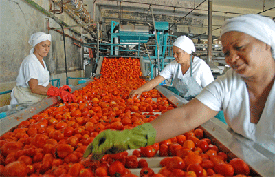 Cooperativas agropecuarias procesan frutas para obtener jugos y pulpas