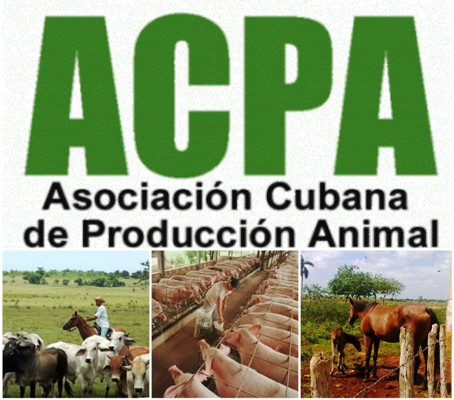Reconocen resultados de filial camagüeyana de Asociación Cubana de Producción Animal