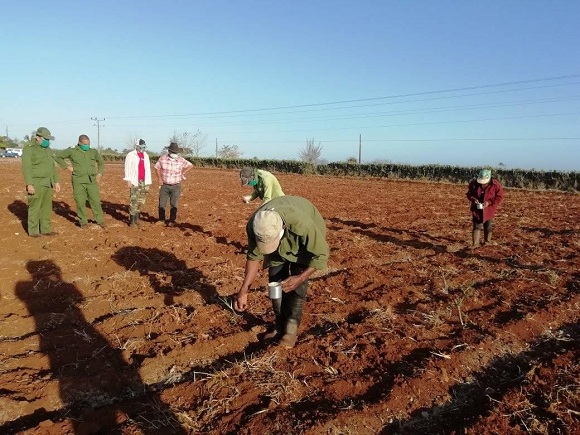 Llaman en Camagüey a producir más y mejor