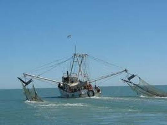 Pescadores camagüeyanos superan programa de captura