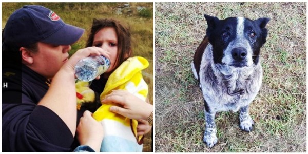 Max: el héroe de un rescate en las montañas