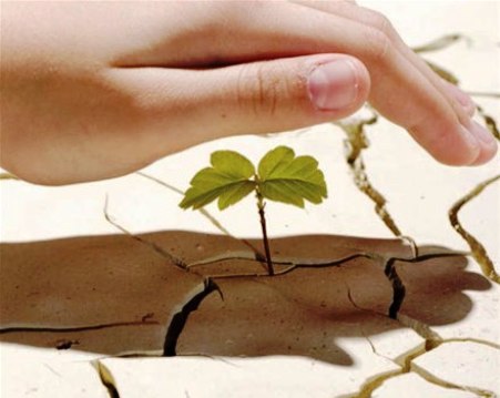 ONU llama a combatir la desertificación y la sequía ONU llama a combatir la desertificación y la sequía