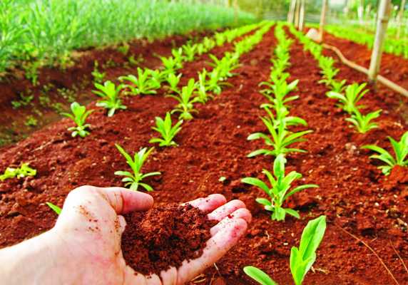 Agricultores cubanos se beneficiarán con proyecto de ONU contra el cambio climático