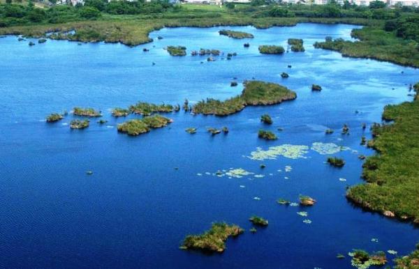 Humedales 2017 insta a la conservación de las turberas en el Caribe