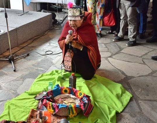 Sede de la UNESCO muestra diversidad cultural latinoamericana y caribeña (+ Fotos)