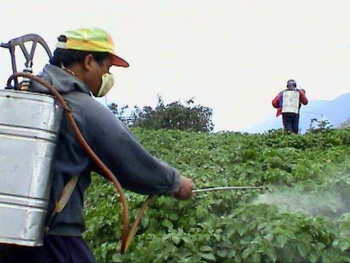 Promueve INIVIT en Camagüey control biológico de enfermedades y plagas 