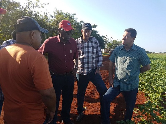 Chequea Valdés Mesa inversiones en el sector agropecuario en Artemisa