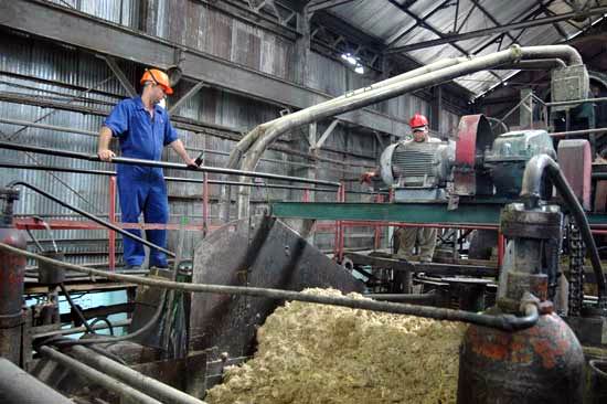 Zafra azucarera en Camagüey no marcha a buen ritmo