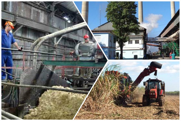 Agroazucareros camagüeyanos comprometidos a mayor eficiencia económica en la cercana zafra