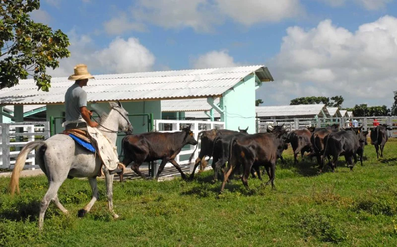 PRODEGAN, cooperation based on the country's food security