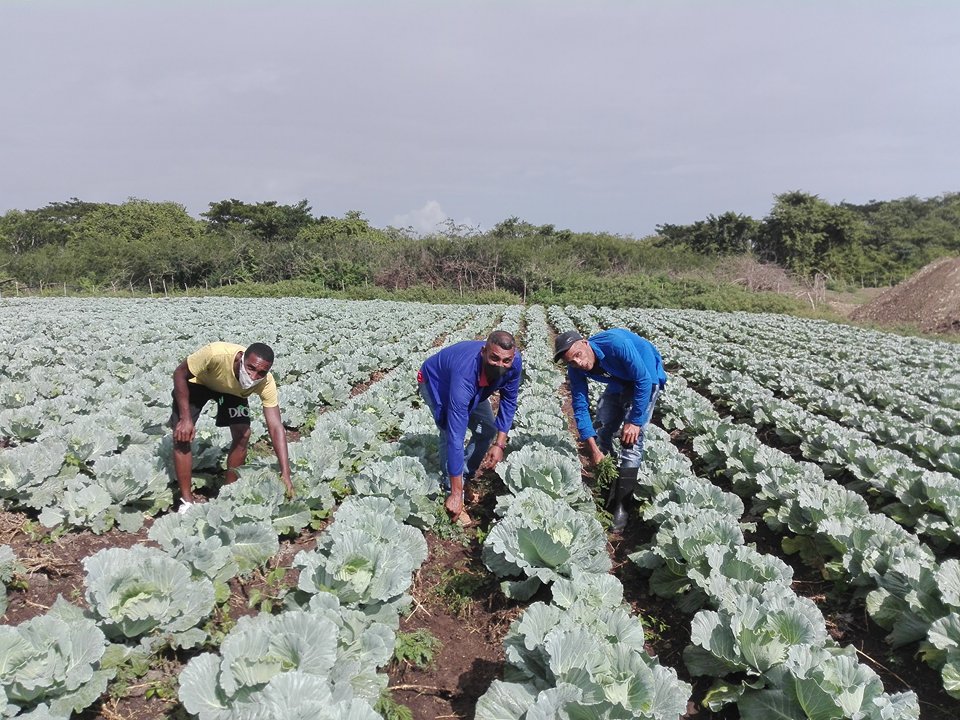 La terre demande du travail, mais elle est gratifiante, dit un jeune producteur alimentaire de Camagüey