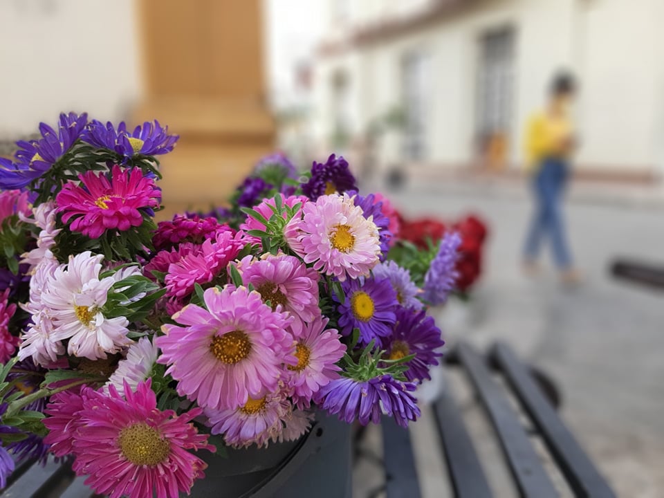 Mujer, inspiración y vida