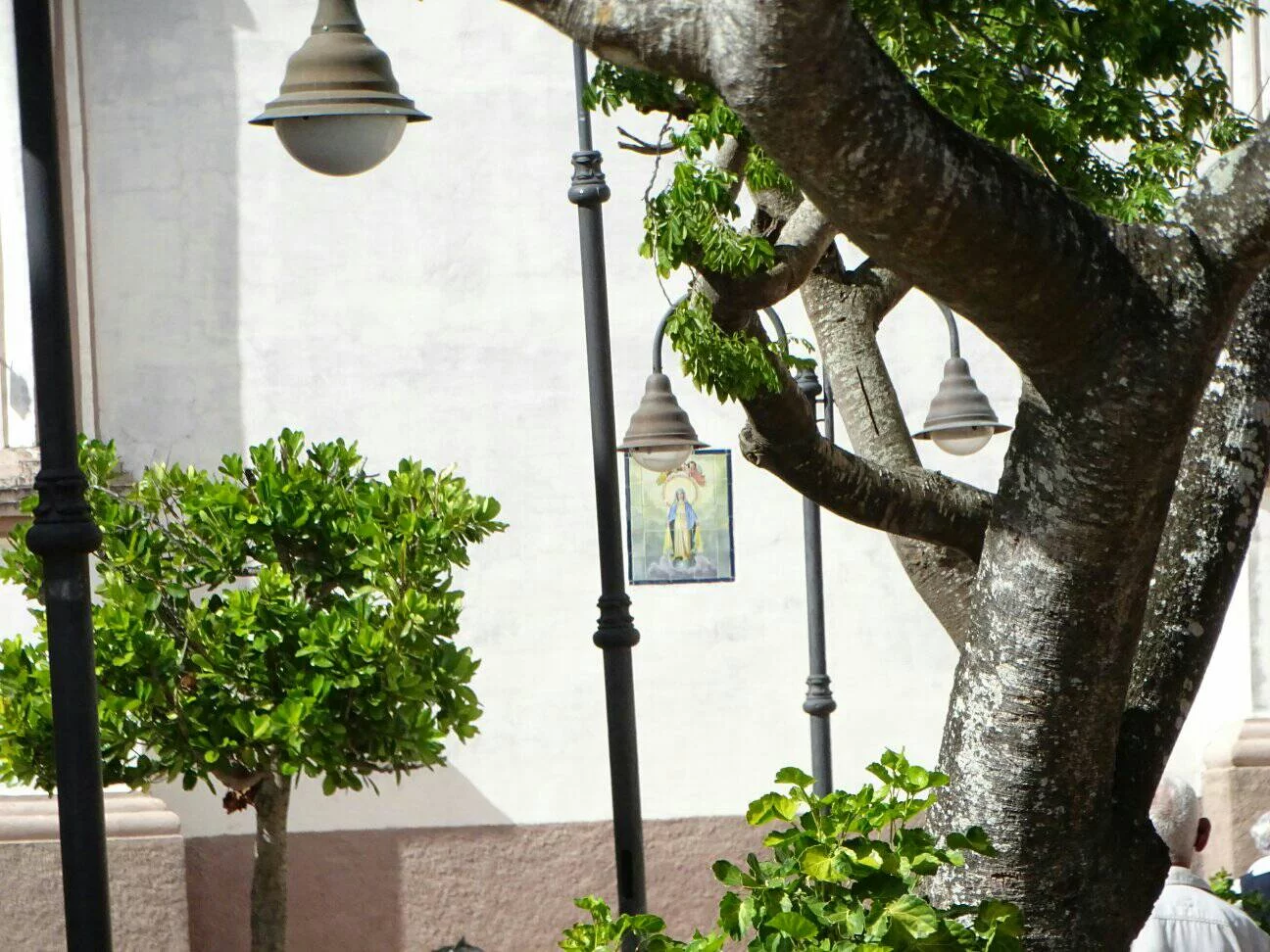 Del entramado urbano y sus arboledas