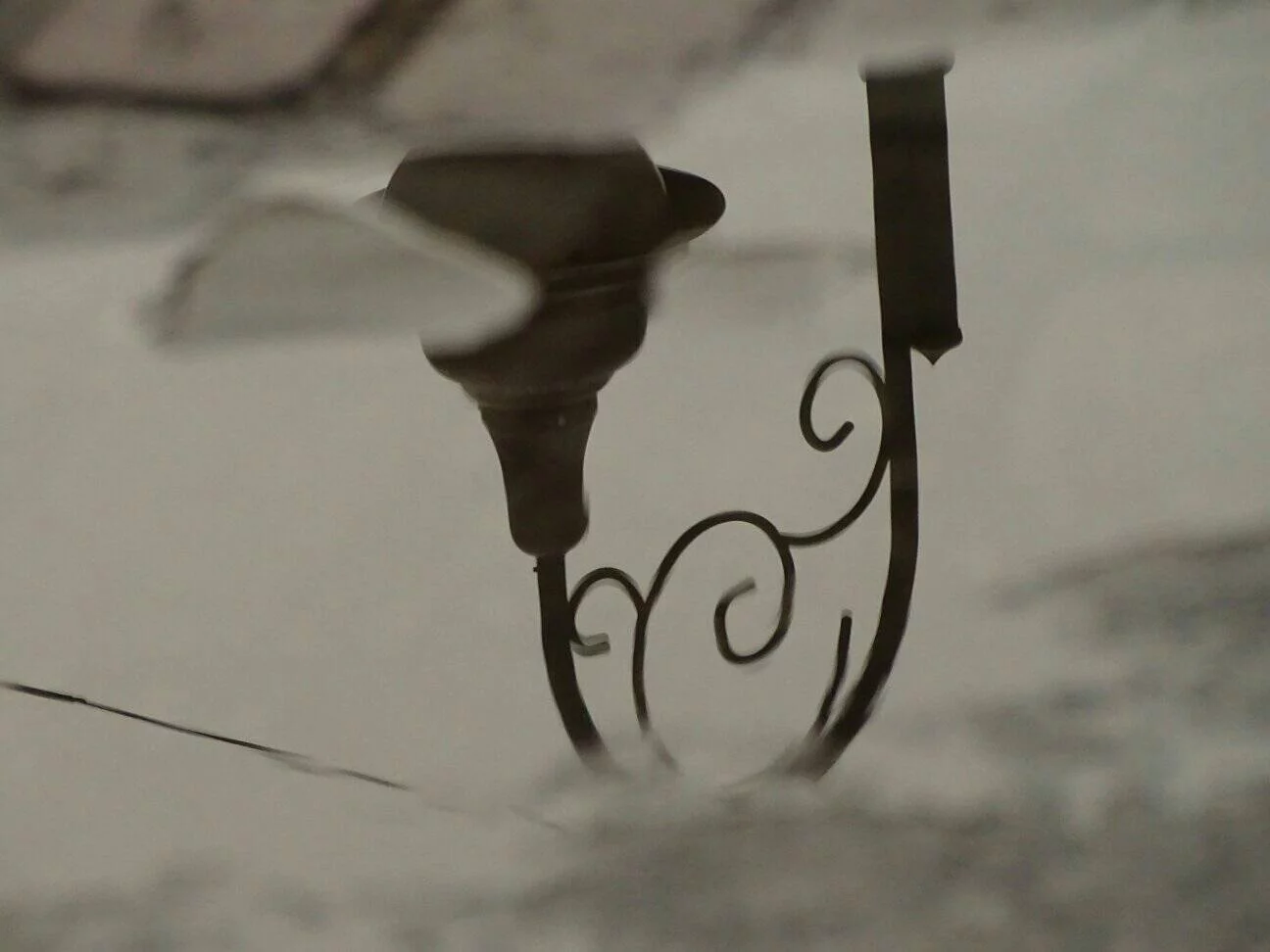 Los espejos de agua, genuinos reflejos del entorno principeño