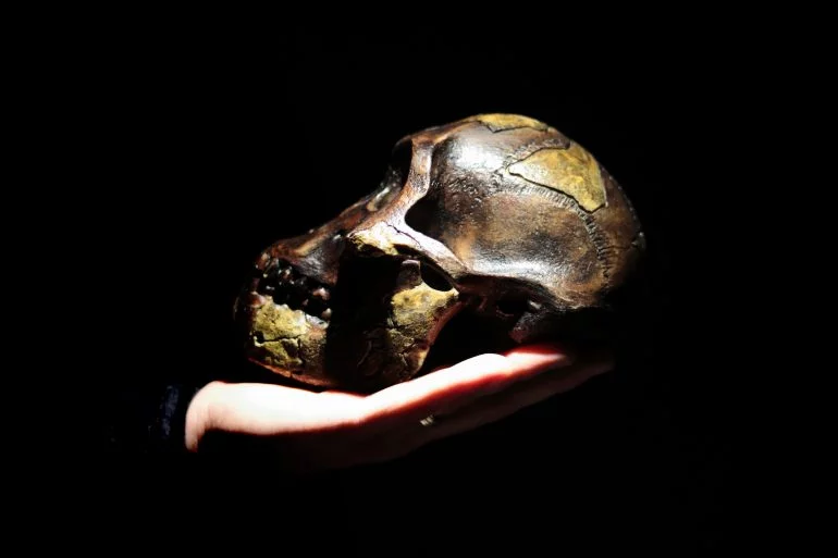 Berceau de l’humanité en Afrique du Sud est un million d’années plus ancienne (+ Photo)
