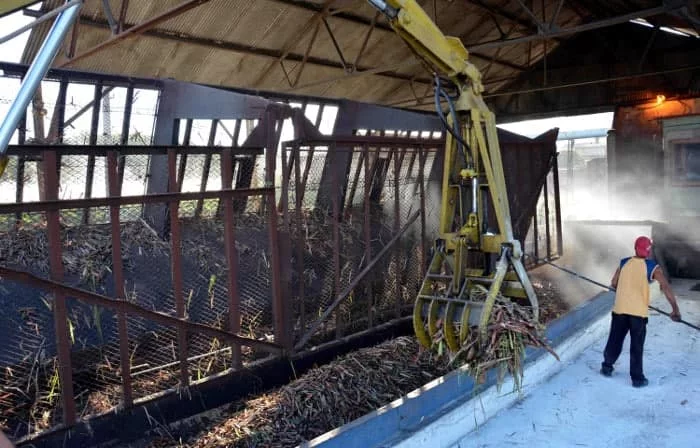 Camagüey : la moisson de l'intelligence et les bonnes décisions.