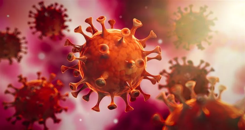 Des scientifiques indiens créent un mécanisme d’inactivation du virus SRAS-CoV-2