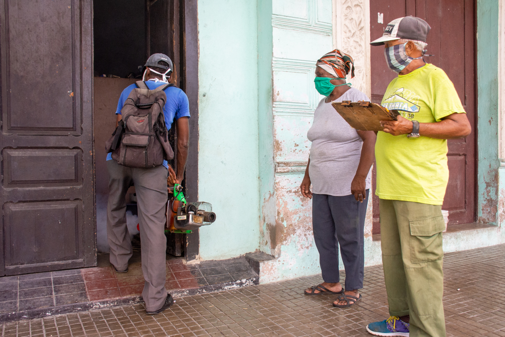                         Oublier l’Aedes aegypti et la dengue est une grave erreur                        