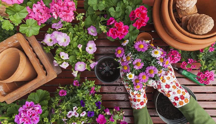 Recommandent le jardinage pour améliorer la santé mentale