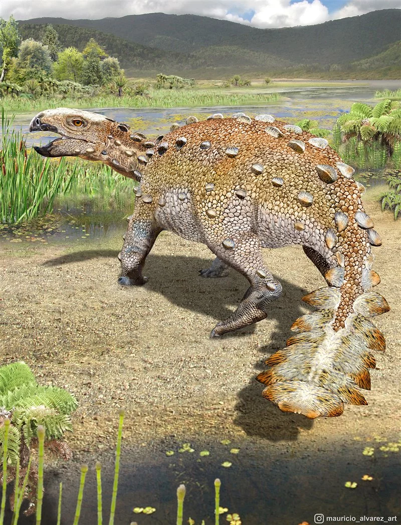 Descubren una nueva especie de anquilosaurio en Chile