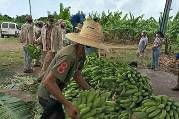 Cuba avanza en la recuperación tras tormenta Elsa
