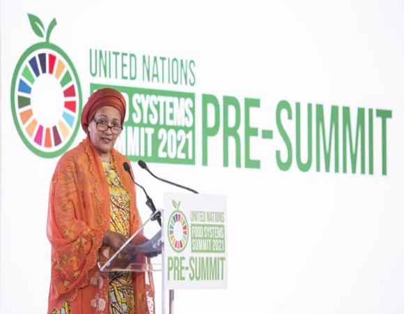 Alistan en ONU cumbre sobre sistemas alimentarios