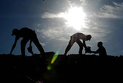 Camagüeyanos saludan el 1ro de Mayo con trabajo voluntario