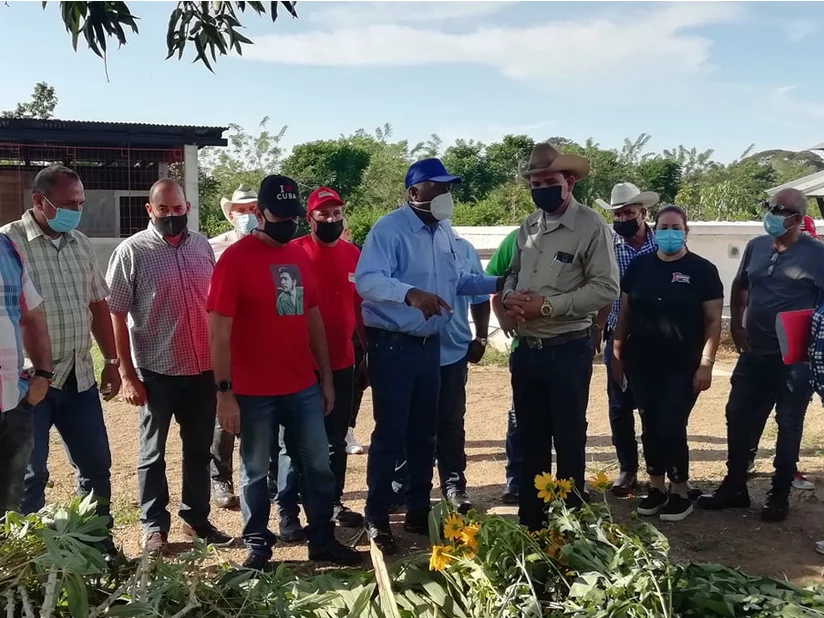 Llama Valdés Mesa en Camagüey a generalizar buenas experiencias en producciones cañeras y agropecuarias (+ Fotos y Audio)