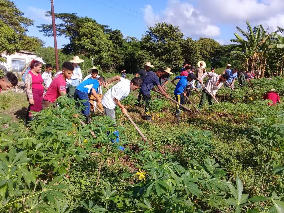 Sector educacional en Camagüey dirige formación vocacional hacia especialidades agropecuarias (+ Fotos)