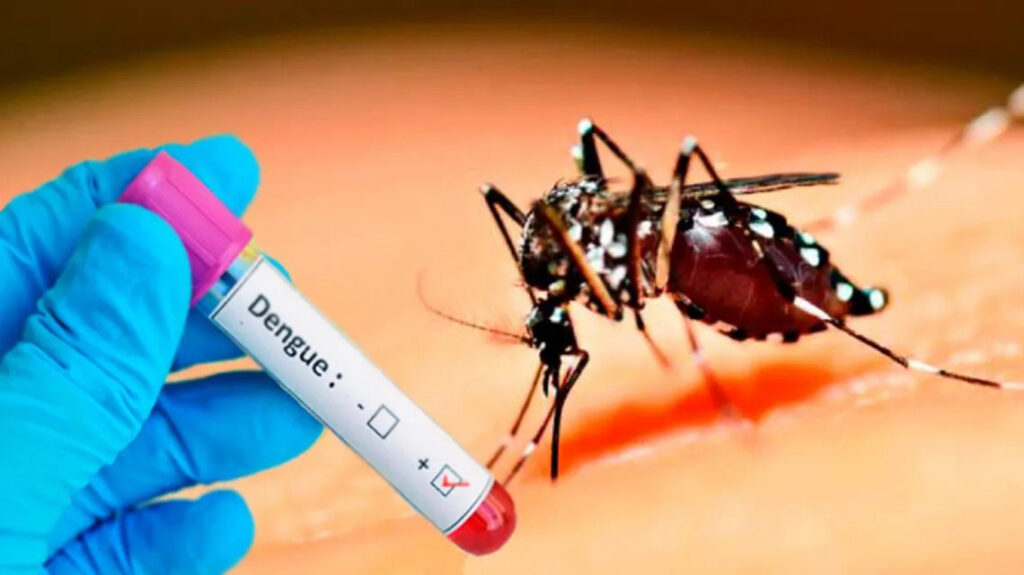  Cuba to host international course on dengue and arbovirus