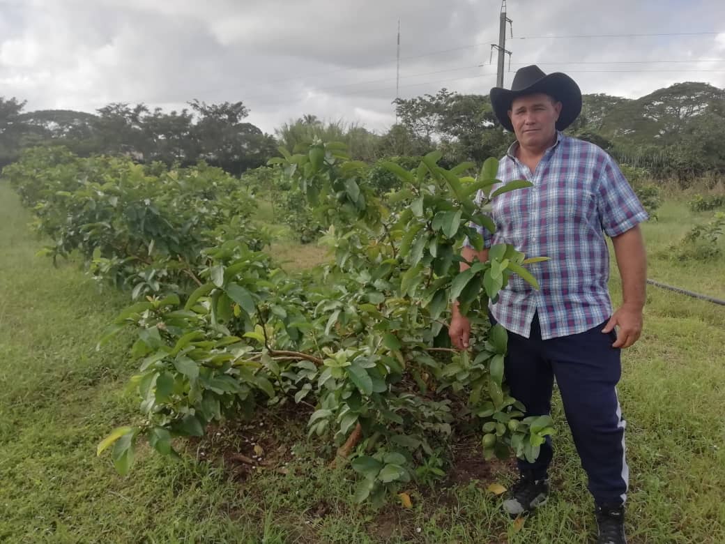 El Gallego: un campesino ejemplar de Camagüey