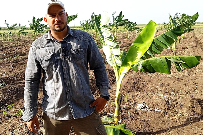 Asume joven camagüeyano el compromiso de producir alimentos