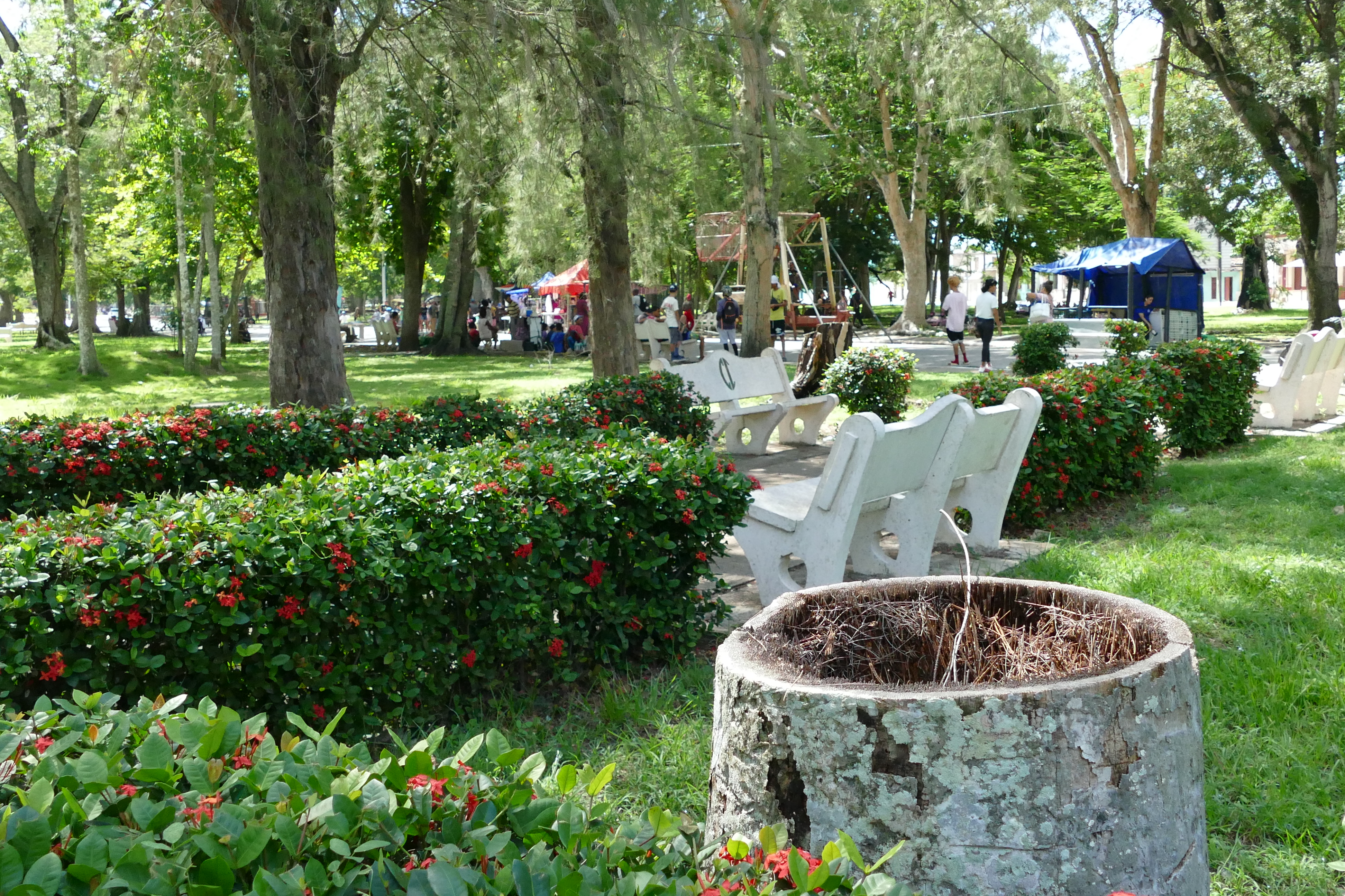 El pulmón verde de Camagüey