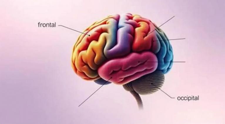 Imagen no encontrada